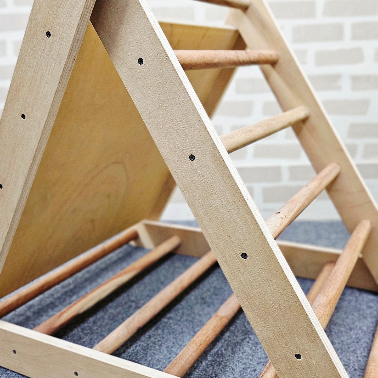 SHAPE SORTER PIKLER _ STARTER SET