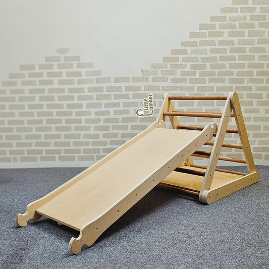 CLIMB & SLIDE DISCOVERY SET (SHAPE SORTER PIKLER + SLIDE RAMP)