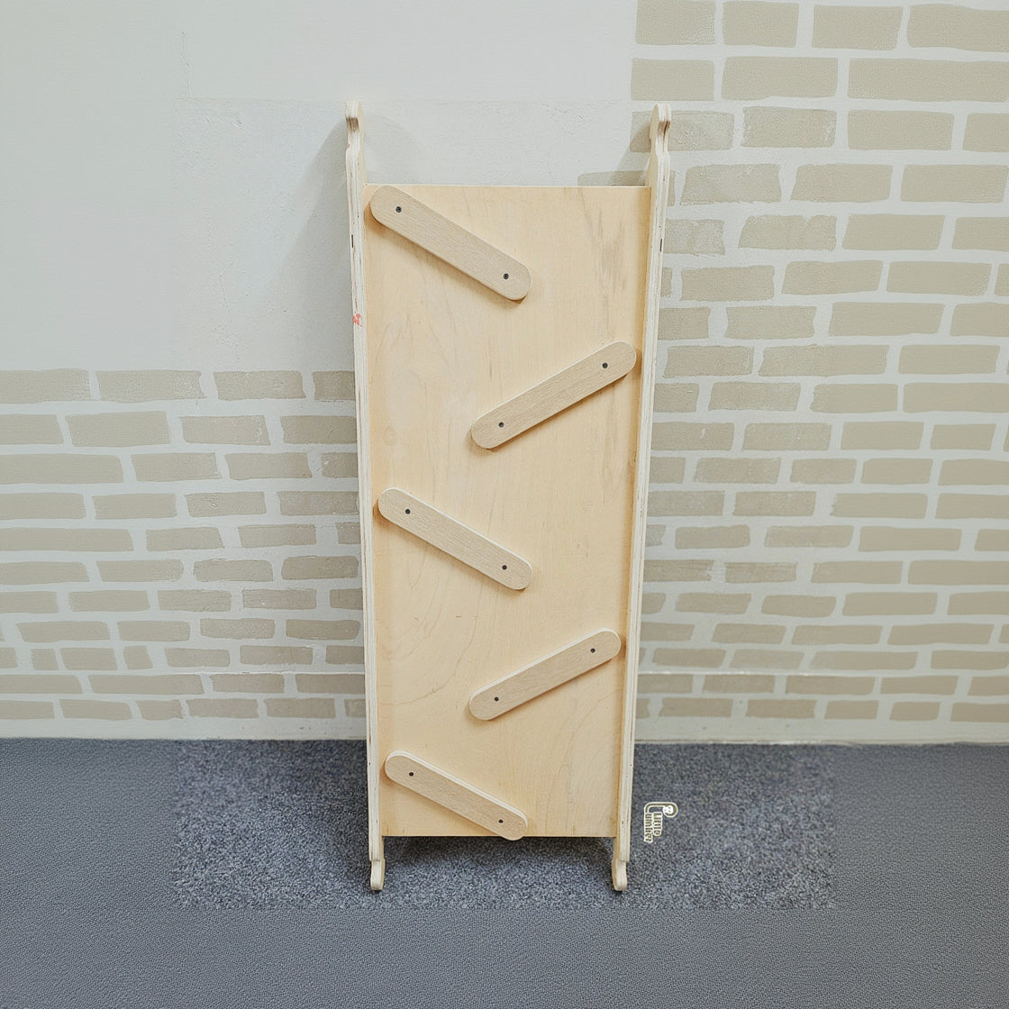 CLIMB & SLIDE DISCOVERY SET (SHAPE SORTER PIKLER + SLIDE RAMP)